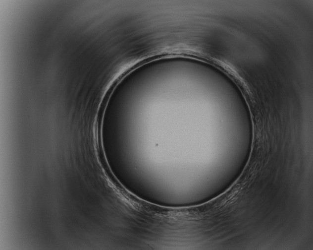 X0000052601032200507160005