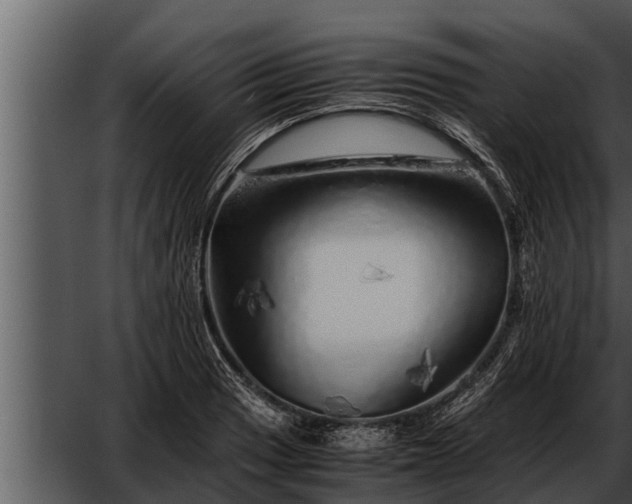 X0000052601033200507160005