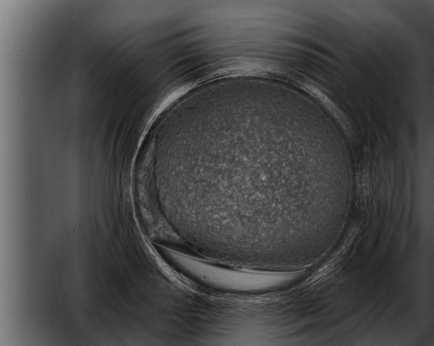 X0000052601034200507160005