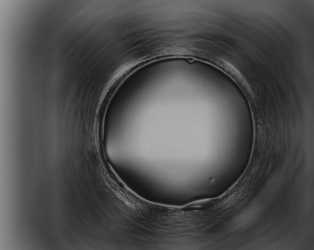 X0000052601035200507160005