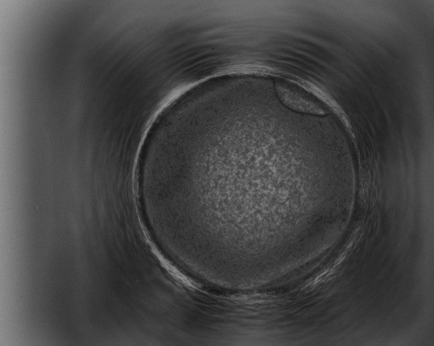 X0000052601037200507160005