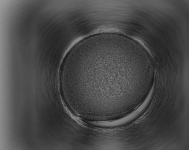 X0000052601038200507160005