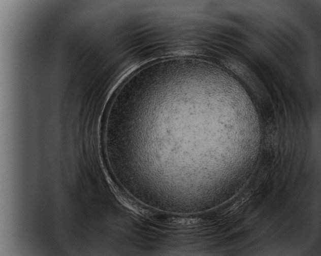 X0000052601039200507160006