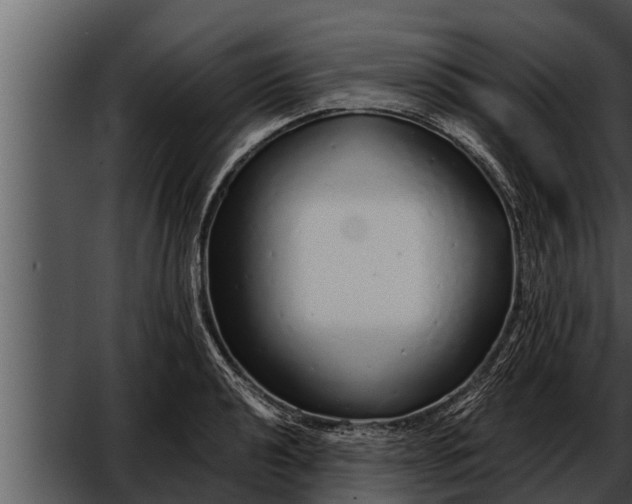 X0000052601040200507160006