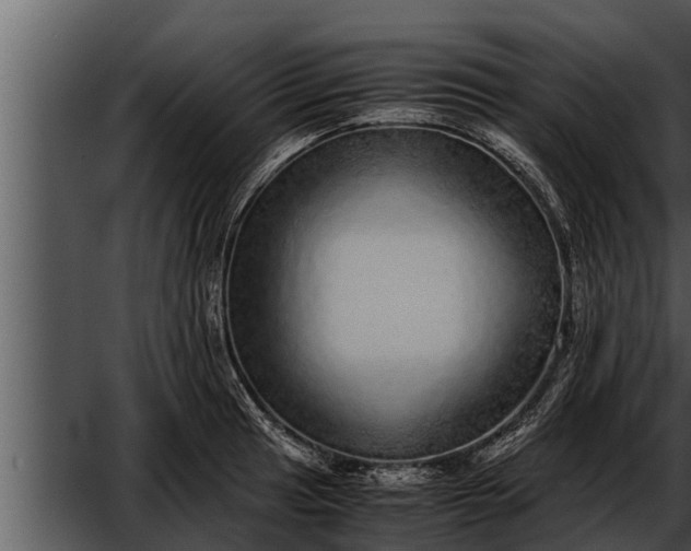 X0000052601041200507160006