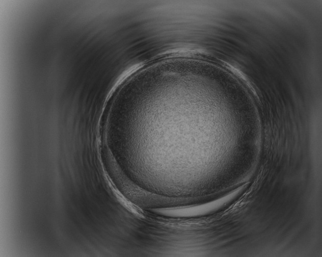 X0000052601042200507160006