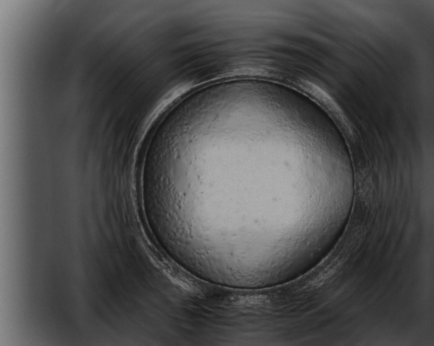 X0000052601043200507160006