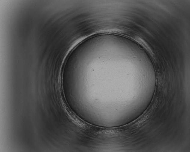 X0000052601044200507160006