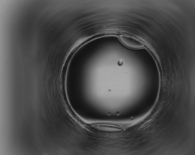 X0000052601045200507160006