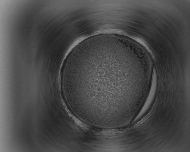 X0000052601046200507160006