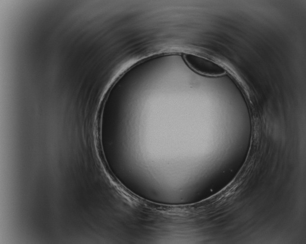 X0000052601048200507160006