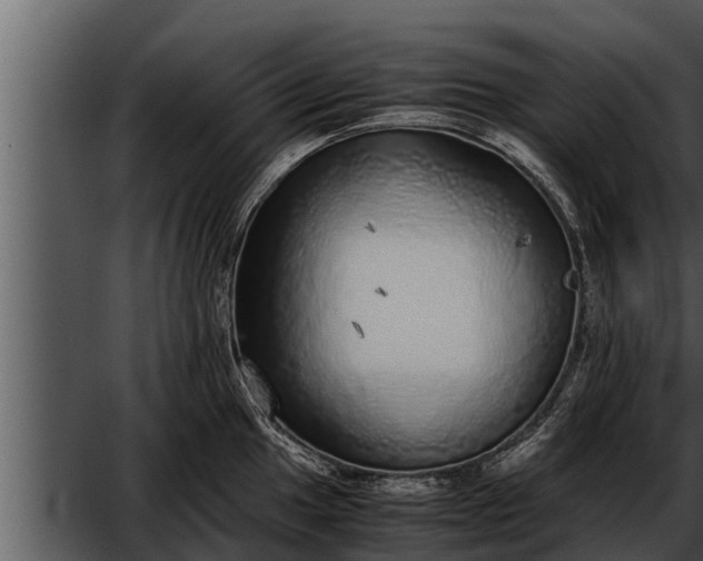 X0000052601049200507160006