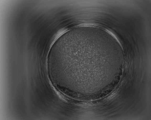 X0000052601050200507160006