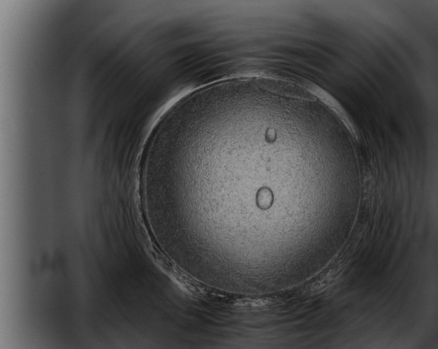 X0000052601051200507160006