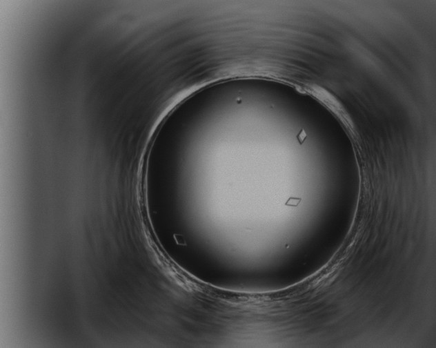 X0000052601052200507160006