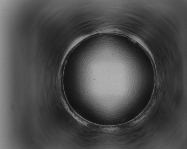 X0000052601053200507160006