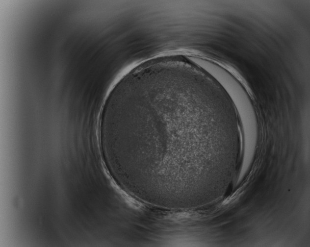 X0000052601054200507160006