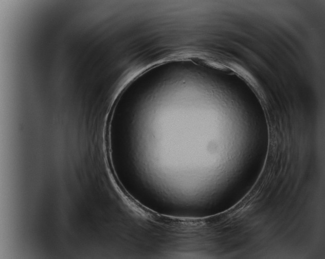 X0000052601055200507160006