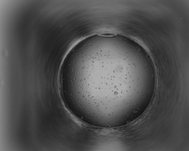 X0000052601056200507160006