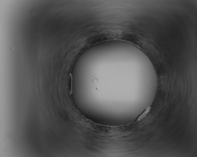 X0000052601057200507160005