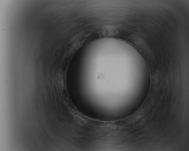 X0000052601058200507160005