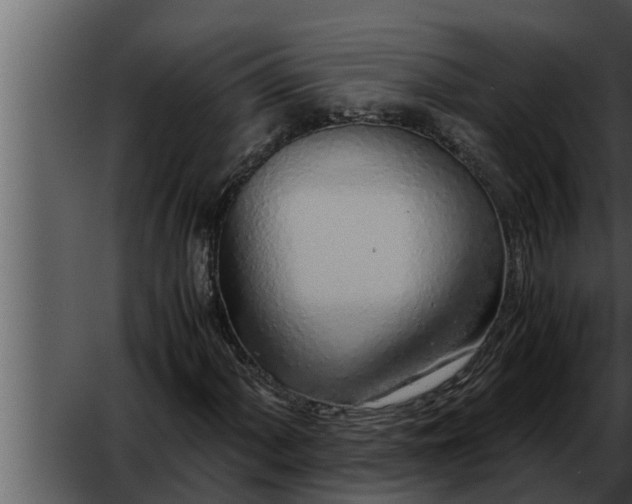 X0000052601060200507160005