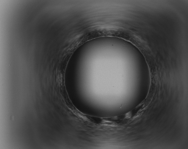 X0000052601061200507160005