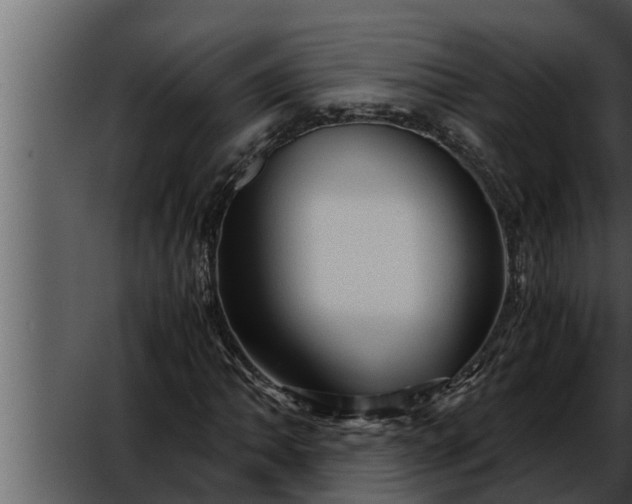 X0000052601062200507160005