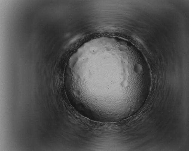 X0000052601063200507160005