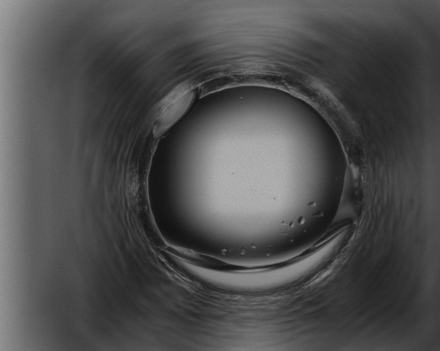 X0000052601065200507160005