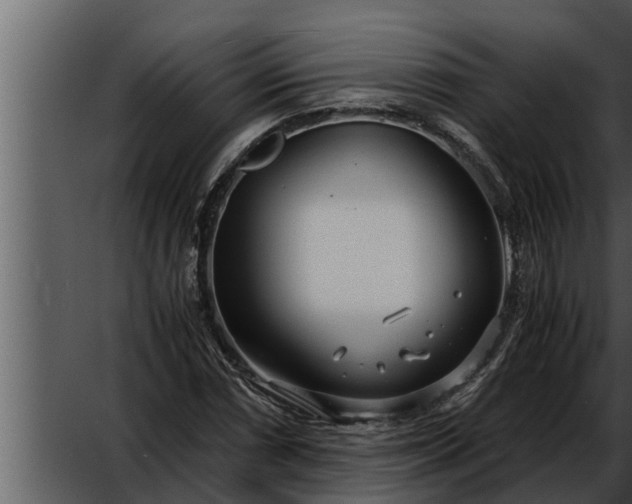 X0000052601066200507160005