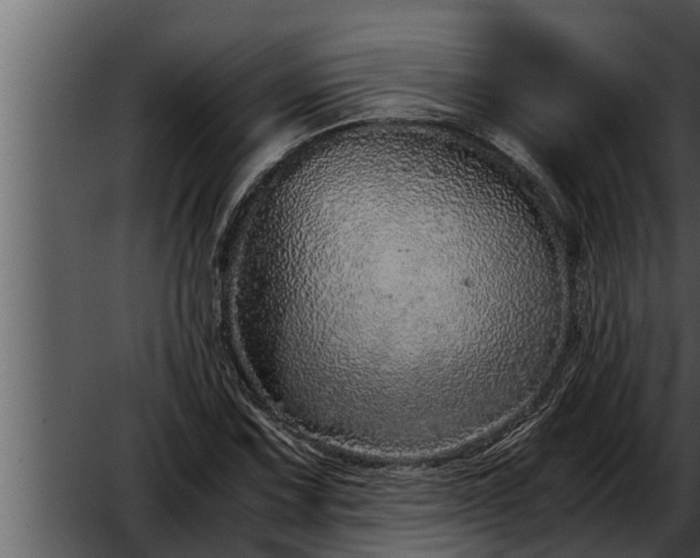 X0000052601067200507160005