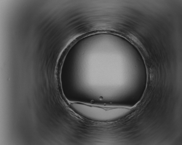 X0000052601068200507160005