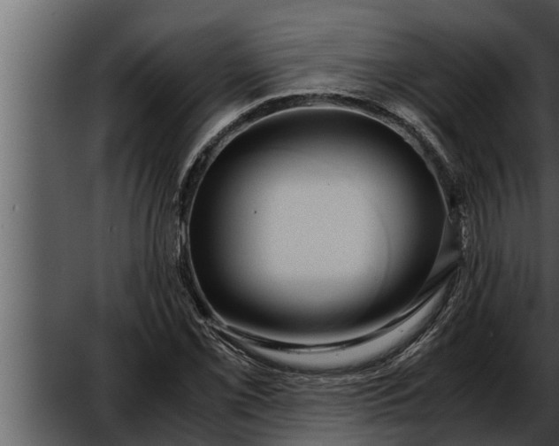 X0000052601069200507160005