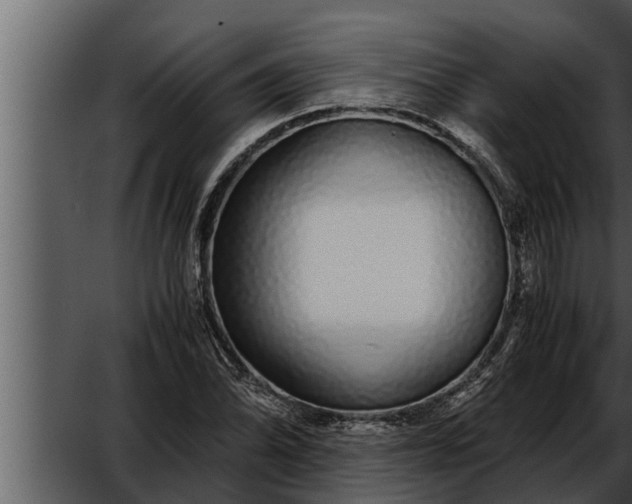 X0000052601070200507160005