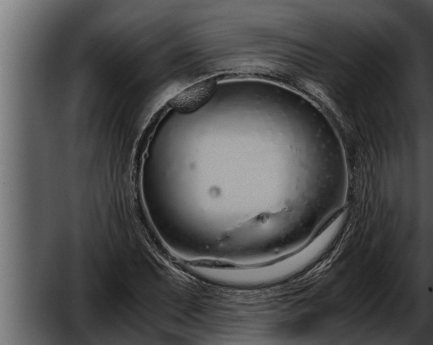 X0000052601071200507160005