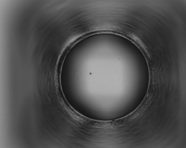 X0000052601072200507160005