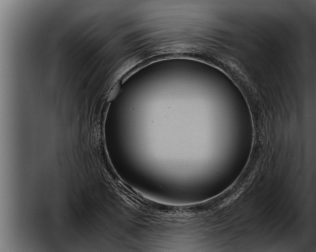 X0000052601073200507160005