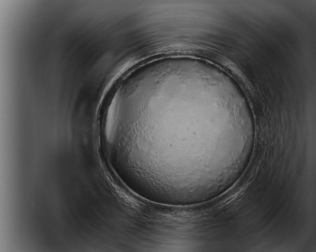 X0000052601075200507160005