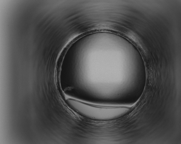 X0000052601076200507160005