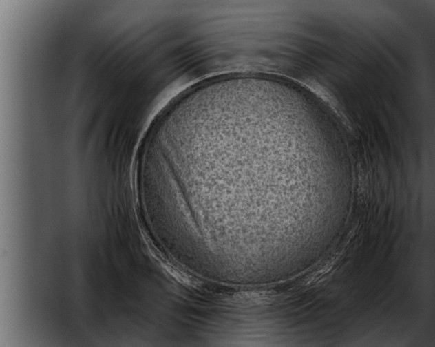 X0000052601078200507160005