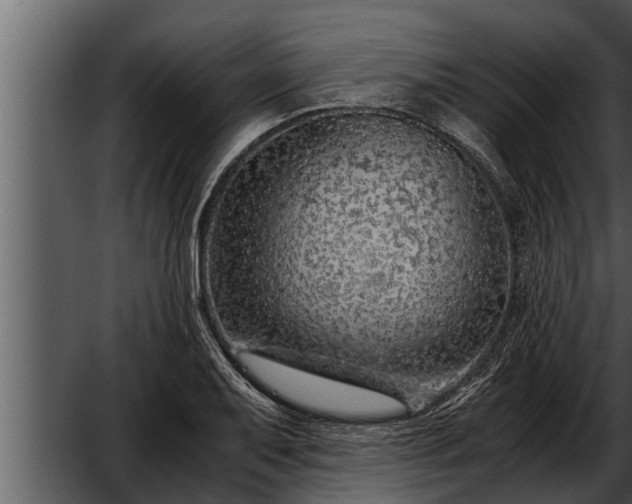 X0000052601079200507160005