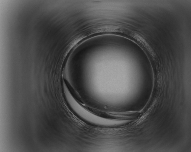 X0000052601081200507160005