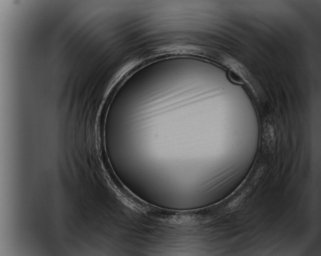 X0000052601082200507160005