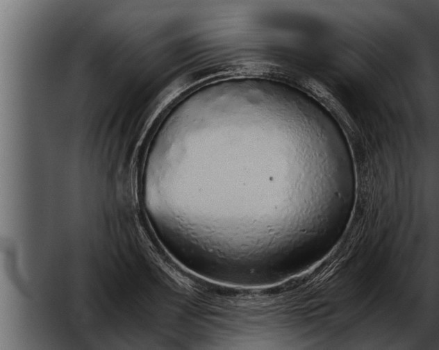 X0000052601083200507160005