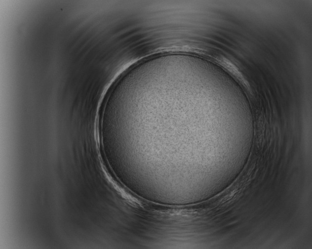 X0000052601084200507160005