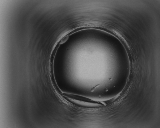 X0000052601085200507160005