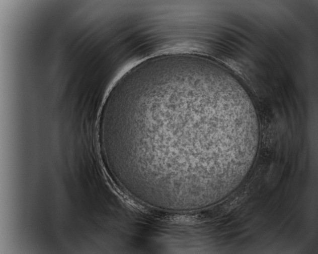 X0000052601086200507160004