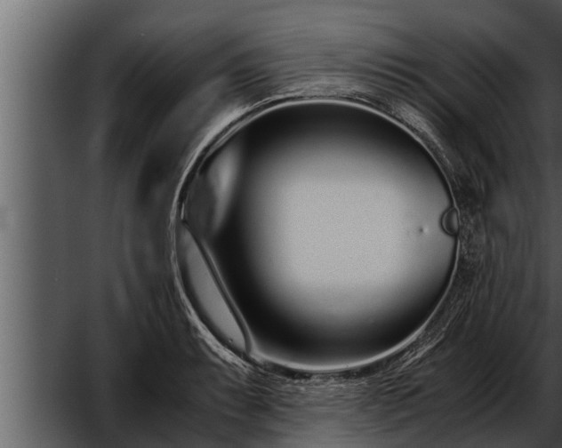 X0000052601087200507160004