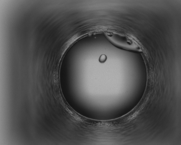 X0000052601089200507160004